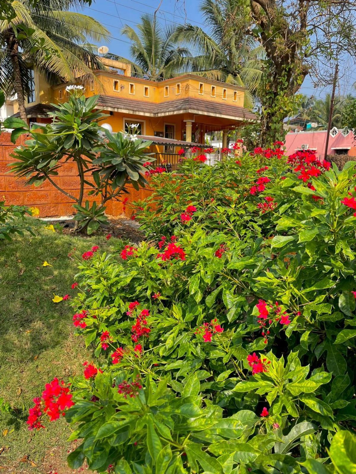 Scarlet Resort Alībāg Zewnętrze zdjęcie